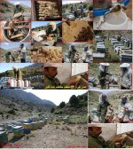 attachment-475851d1382733441-golil1.jpg attachment-475851d1382733441-golil1.jpg