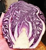 IMG_20240817_120114_380.jpg IMG_20240817_120114_380.jpg