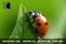 حالت های عکاسی در دوربین های دیجیتال حالت های عکاسی در دوربین های دیجیتال