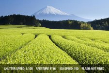 حالت های عکاسی در دوربین های دیجیتال حالت های عکاسی در دوربین های دیجیتال